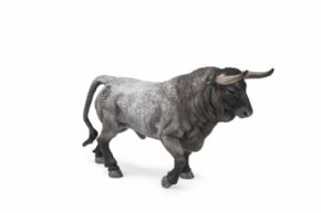TORO BRAVO CARDENO TROTANDO